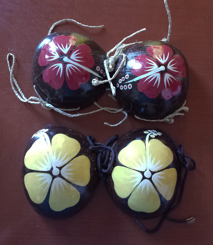 Hawaiian Colorful Hibiscus Ladies Coconut Bra